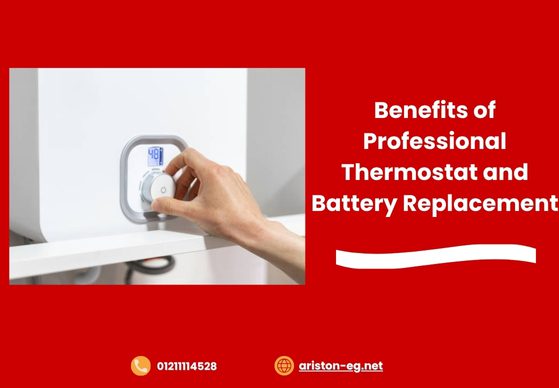 Benefits of Professional Thermostat and Battery Replacement